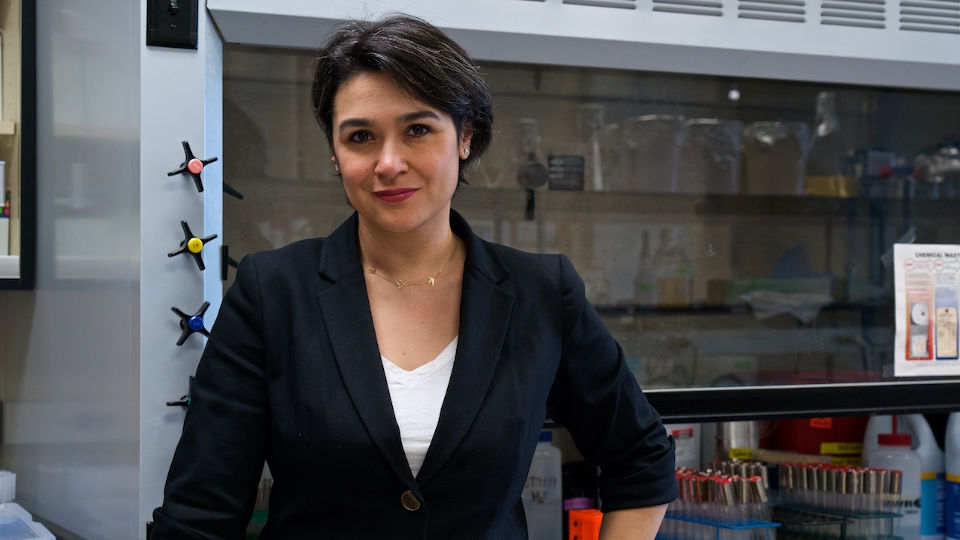 Betul Kacar has been recently admitted to NASA’s team exploring traces of life in the Universe. Photo: Carl Philabaum