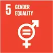 E_SDG_Icons-05.gif SDG 5: Gender equality