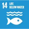 E_SDG_Icons-14.gif SDG 14: Life below water